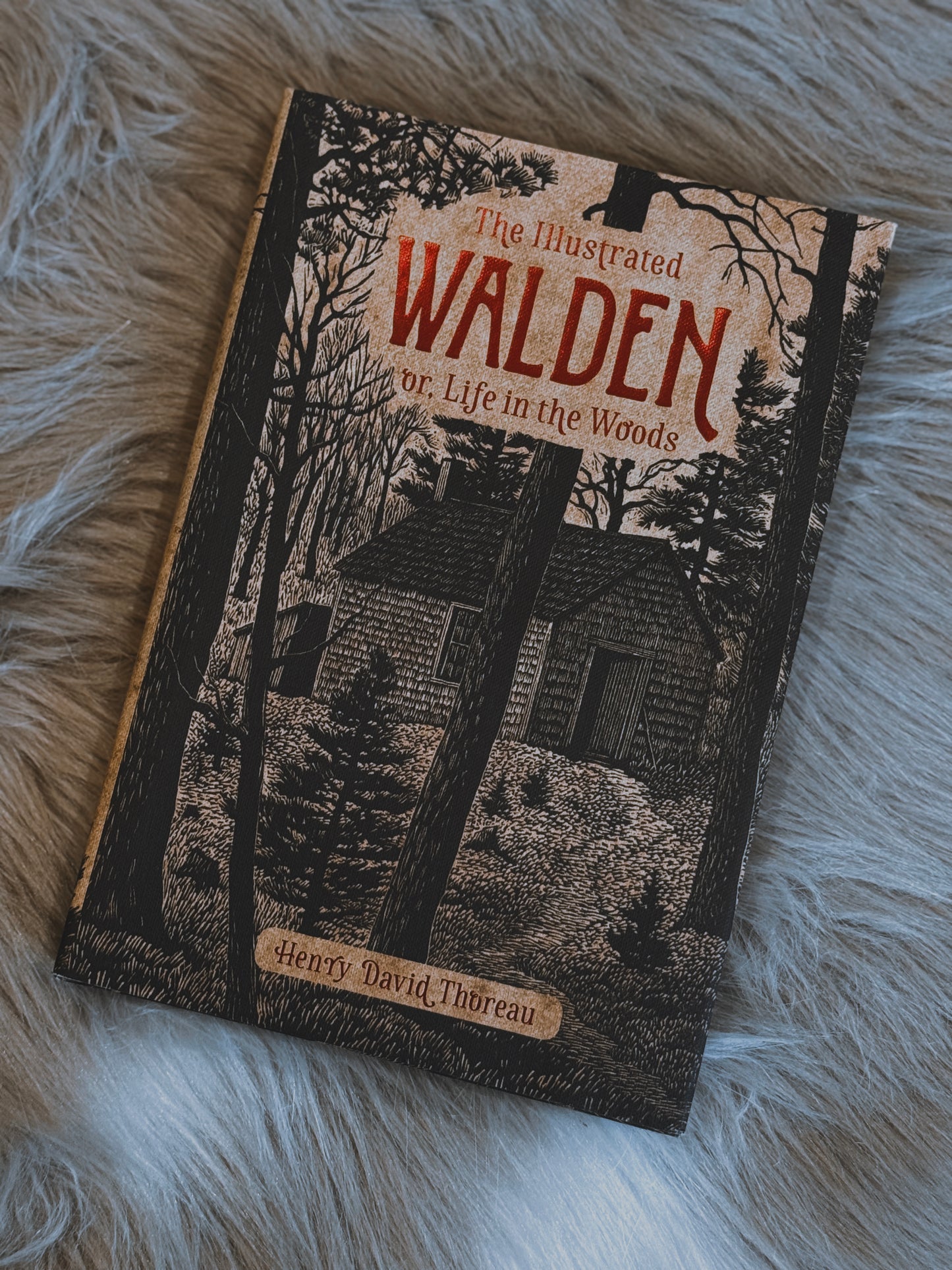 The Illustrated 'Walden' by Henry David Thoreau