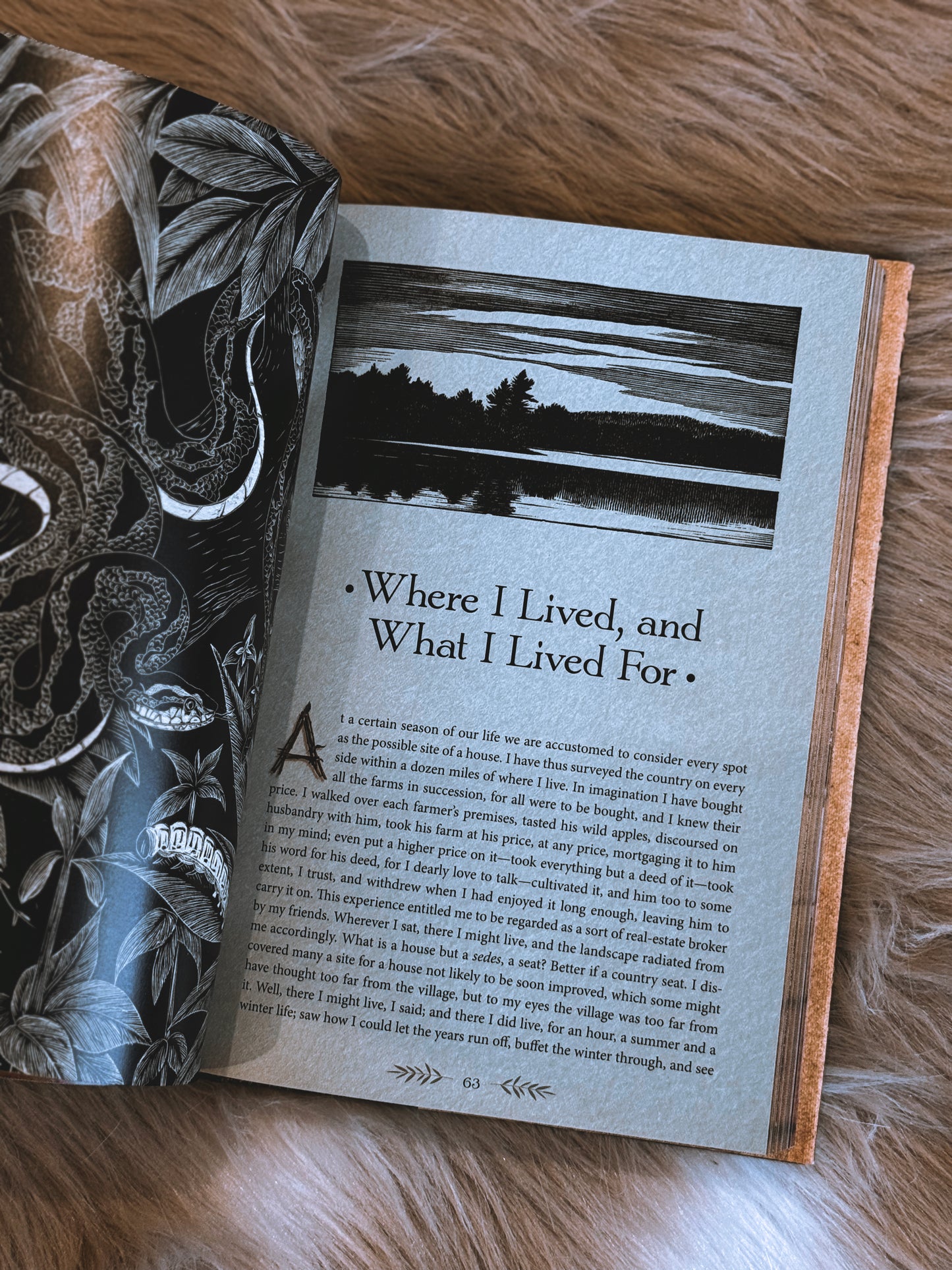 The Illustrated 'Walden' by Henry David Thoreau