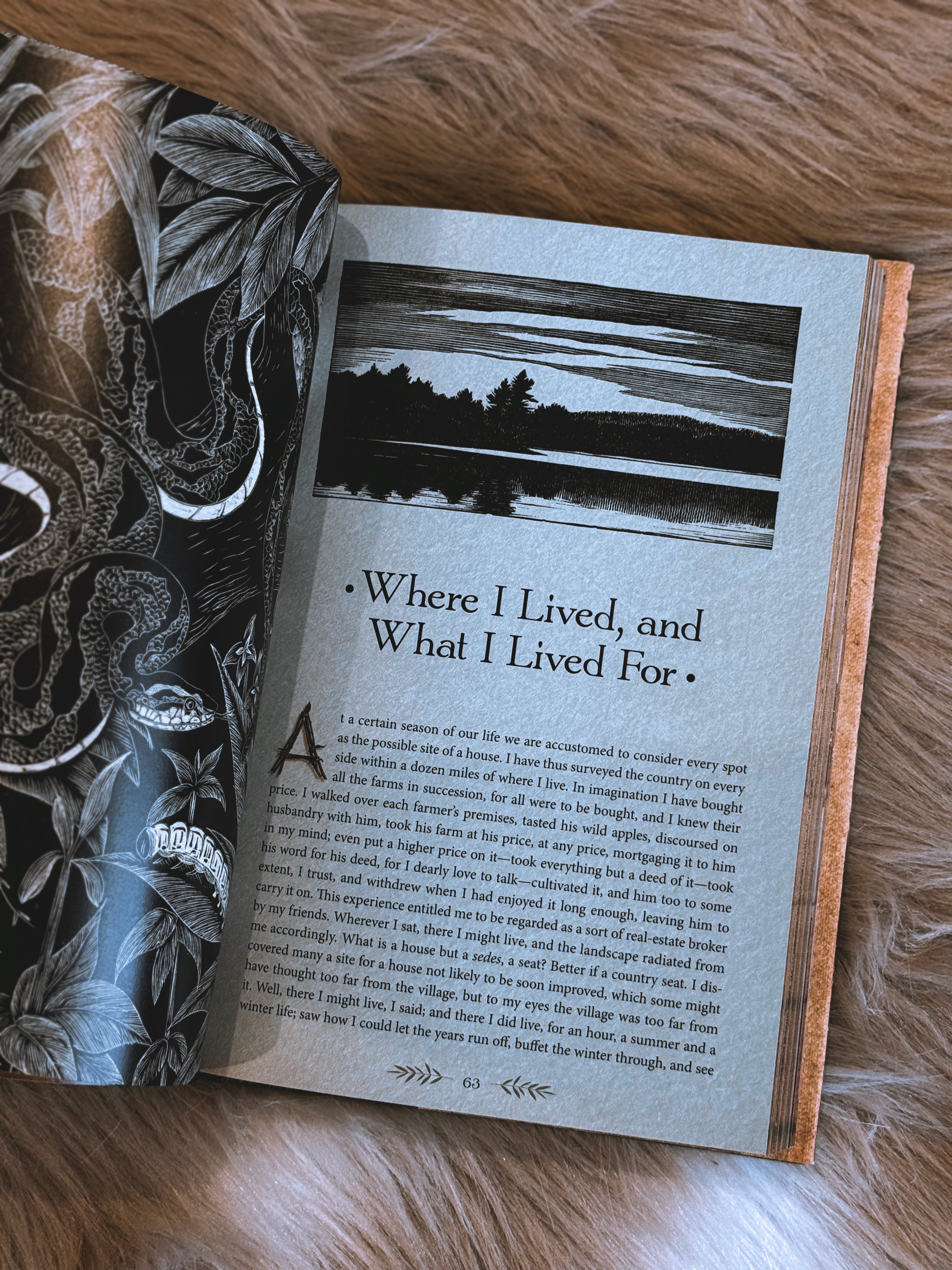 The Illustrated 'Walden' by Henry David Thoreau