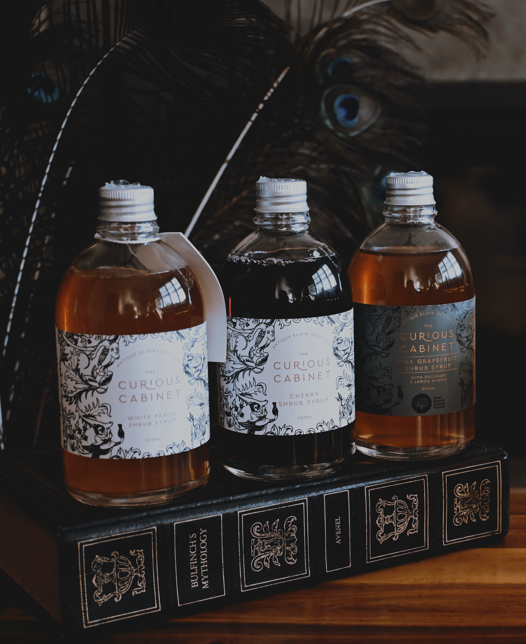 Shrub Syrup Cordials