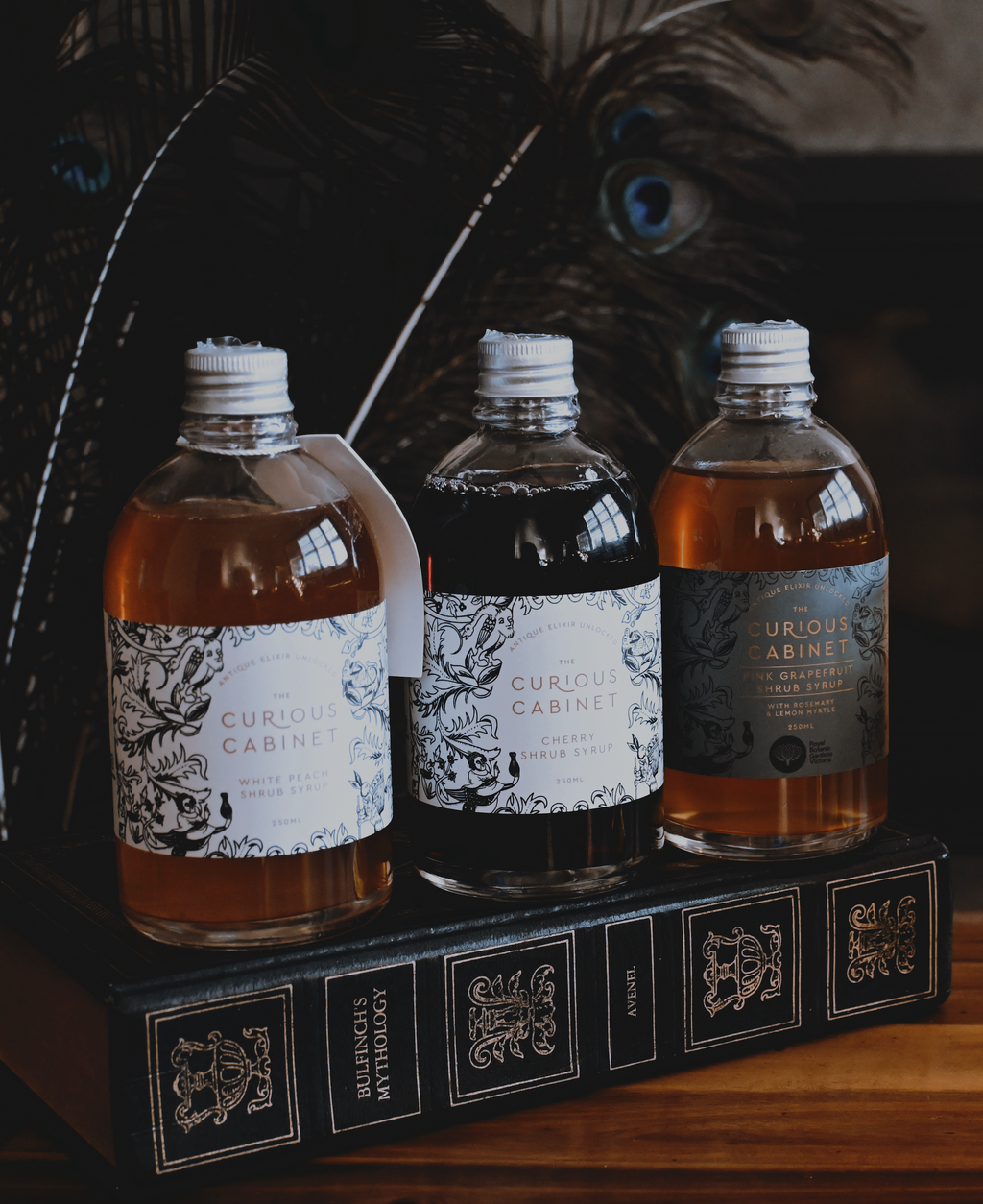 Shrub Syrup Cordials